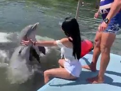 Un dauphin fait un câlin à une fille
