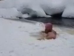 Un homme fait un backflip sur la glace