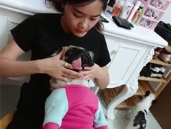 Une fille masse son chien comme une…